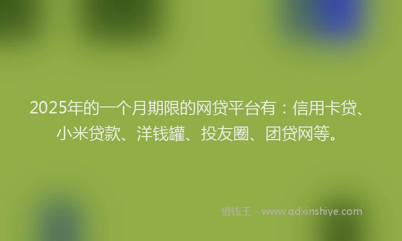 2025年的一个月期限的网贷平台有：信用卡贷、小米贷款、洋钱罐、投友圈、团贷网等。