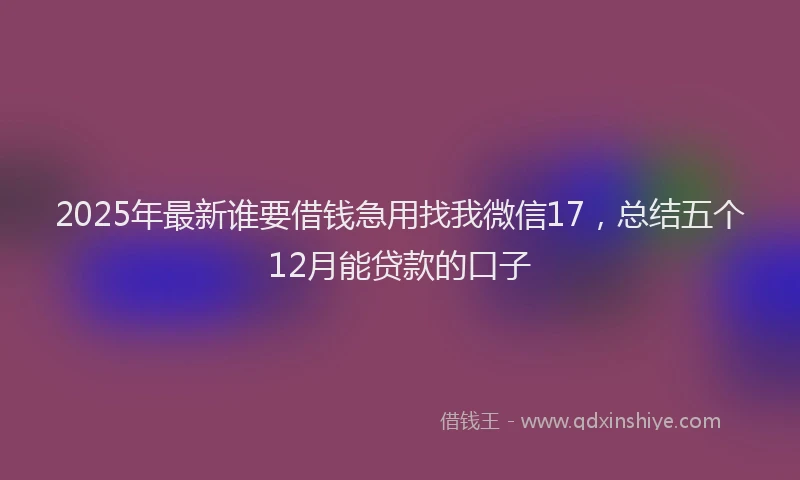 2025年最新谁要借钱急用找我微信17，总结五个12月能贷款的口子