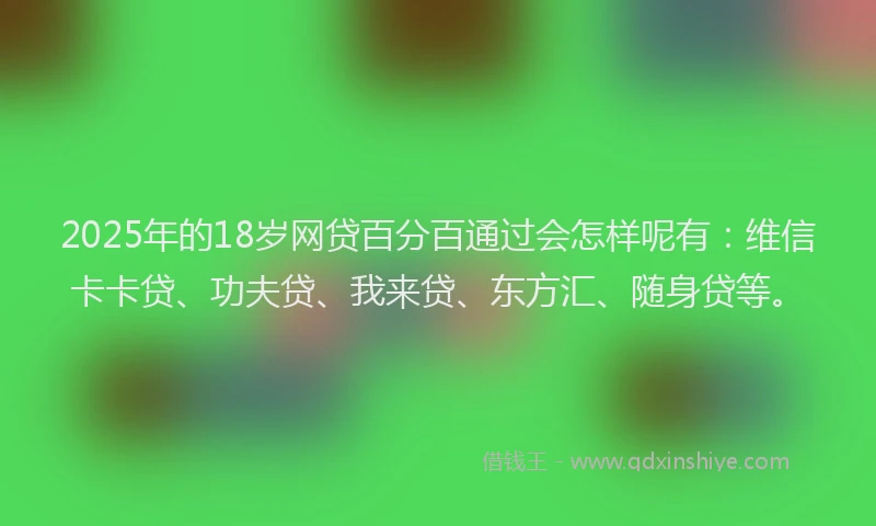 2025年的18岁网贷百分百通过会怎样呢有：维信卡卡贷、功夫贷、我来贷、东方汇、随身贷等。