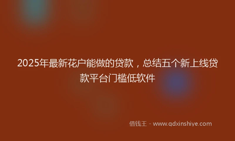 2025年最新花户能做的贷款，总结五个新上线贷款平台门槛低软件