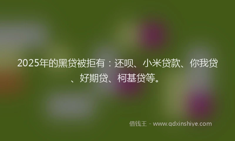 2025年的黑贷被拒有：还呗、小米贷款、你我贷、好期贷、柯基贷等。