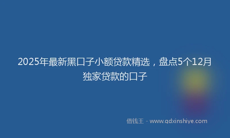 2025年最新黑口子小额贷款精选，盘点5个12月独家贷款的口子