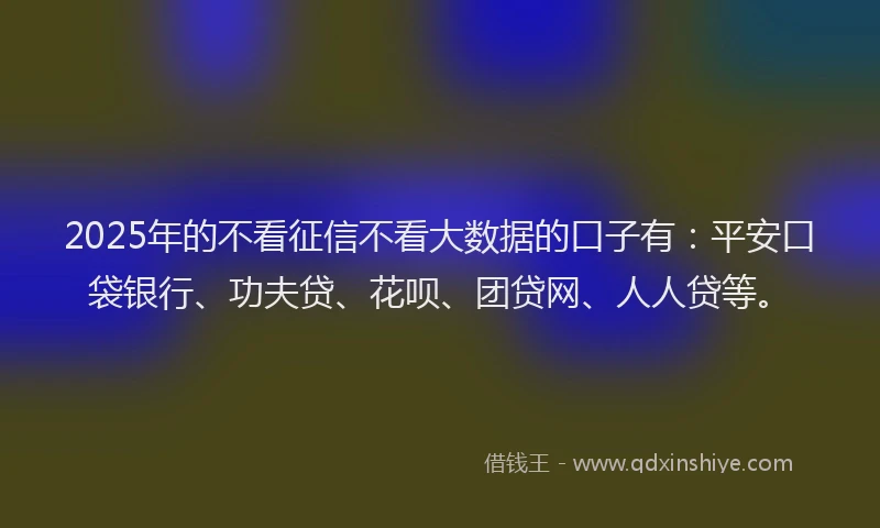 2025年的不看征信不看大数据的口子有：平安口袋银行、功夫贷、花呗、团贷网、人人贷等。