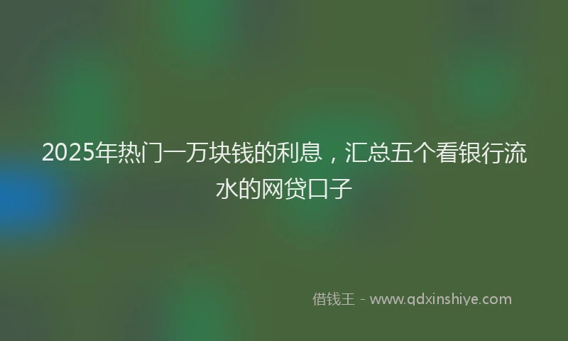 2025年热门一万块钱的利息，汇总五个看银行流水的网贷口子