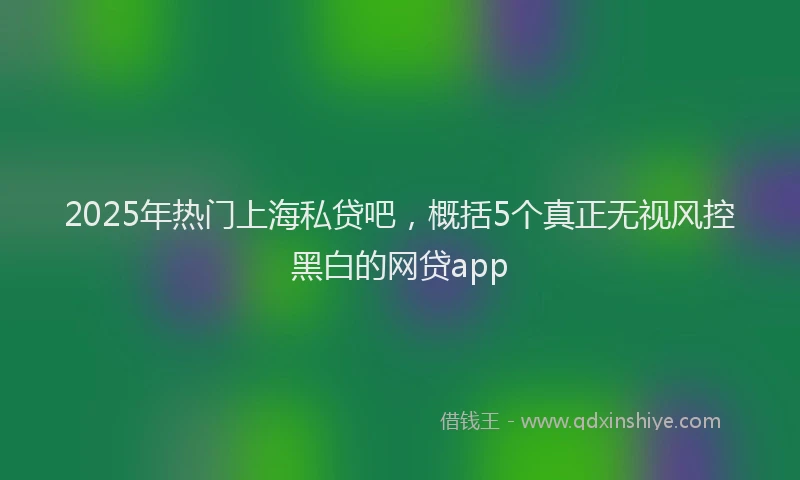 2025年热门上海私贷吧，概括5个真正无视风控黑白的网贷app