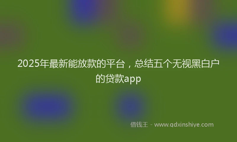 2025年最新能放款的平台，总结五个无视黑白户的贷款app