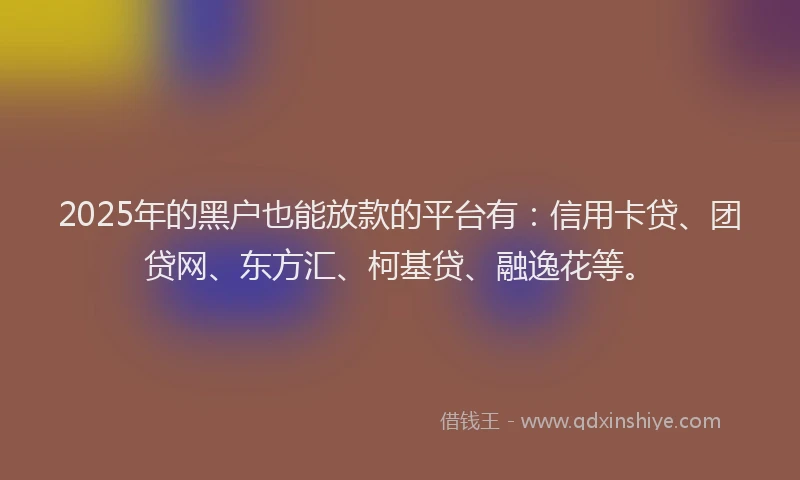 2025年的黑户也能放款的平台有：信用卡贷、团贷网、东方汇、柯基贷、融逸花等。