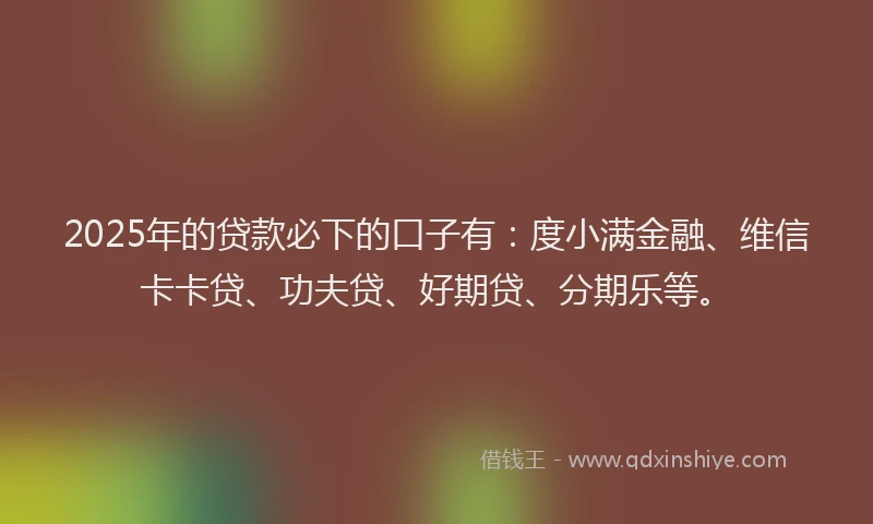 2025年的贷款必下的口子有：度小满金融、维信卡卡贷、功夫贷、好期贷、分期乐等。