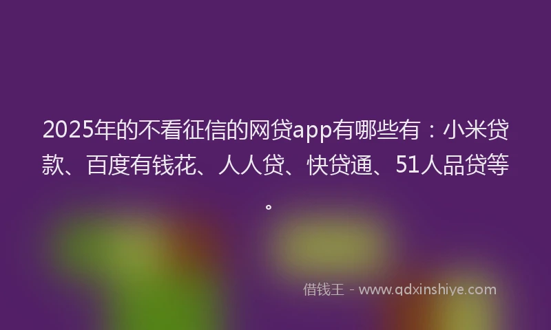 2025年的不看征信的网贷app有哪些有：小米贷款、百度有钱花、人人贷、快贷通、51人品贷等。