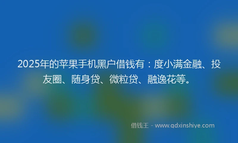 2025年的苹果手机黑户借钱有：度小满金融、投友圈、随身贷、微粒贷、融逸花等。