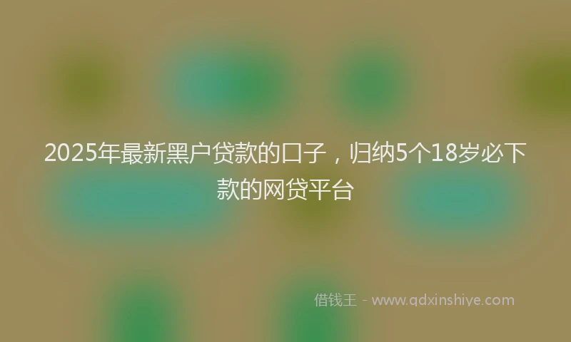 2025年最新黑户贷款的口子，归纳5个18岁必下款的网贷平台