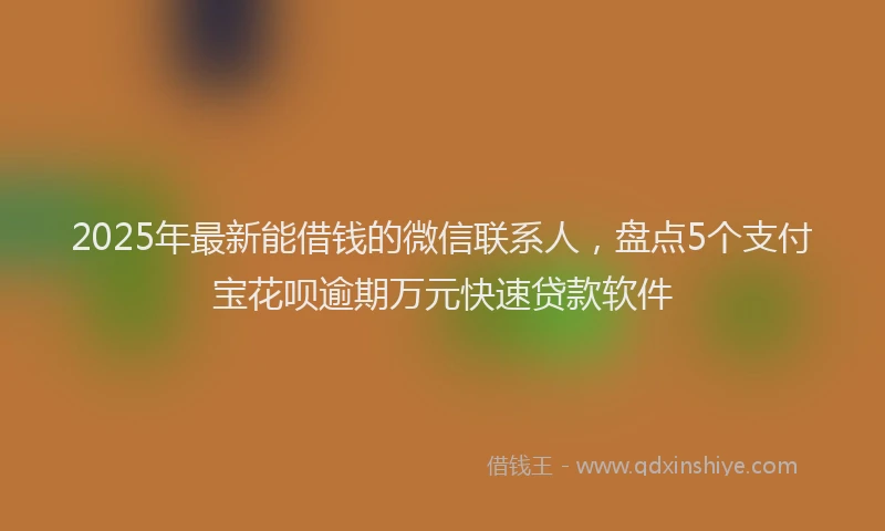 2025年最新能借钱的微信联系人，盘点5个支付宝花呗逾期万元快速贷款软件