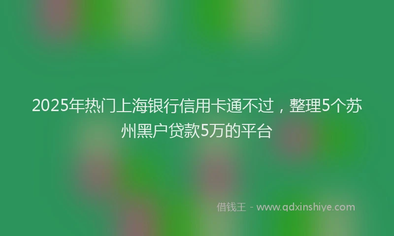 2025年热门上海银行信用卡通不过，整理5个苏州黑户贷款5万的平台