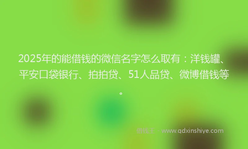 2025年的能借钱的微信名字怎么取有：洋钱罐、平安口袋银行、拍拍贷、51人品贷、微博借钱等。