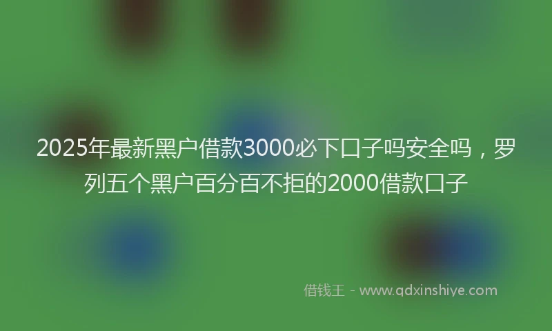 2025年最新黑户借款3000必下口子吗安全吗，罗列五个黑户百分百不拒的2000借款口子