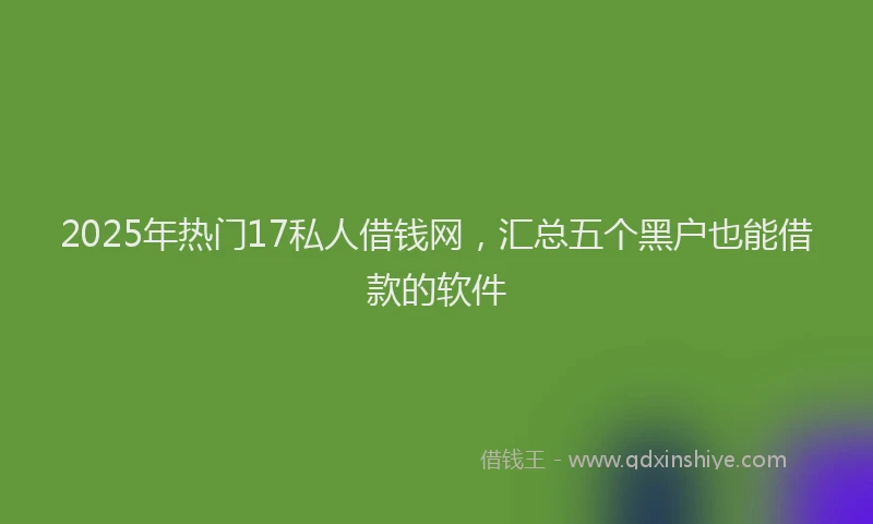 2025年热门17私人借钱网，汇总五个黑户也能借款的软件