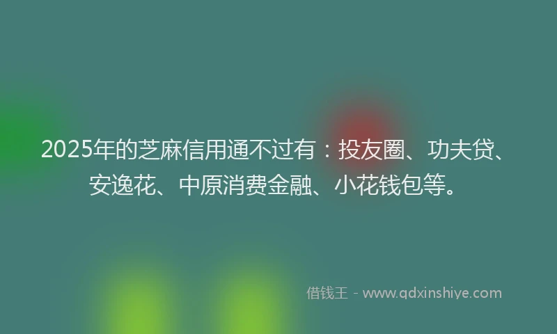 2025年的芝麻信用通不过有：投友圈、功夫贷、安逸花、中原消费金融、小花钱包等。