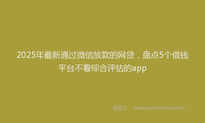 2025年最新通过微信放款的网贷，盘点5个借钱平台不看综合评估的app