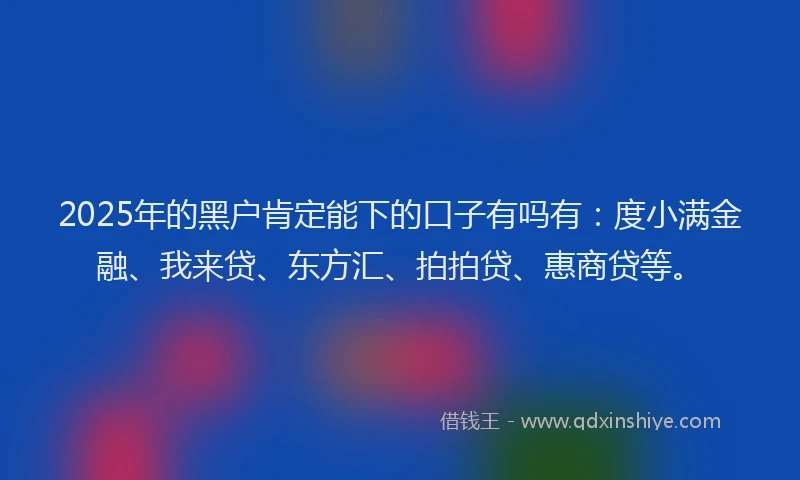 2025年的黑户肯定能下的口子有吗有：度小满金融、我来贷、东方汇、拍拍贷、惠商贷等。