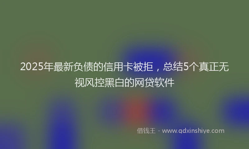 2025年最新负债的信用卡被拒，总结5个真正无视风控黑白的网贷软件