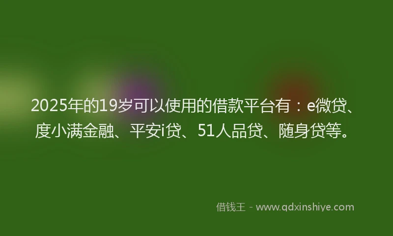 2025年的19岁可以使用的借款平台有：e微贷、度小满金融、平安i贷、51人品贷、随身贷等。