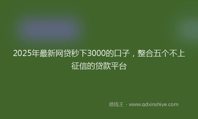 2025年最新网贷秒下3000的口子，整合五个不上征信的贷款平台