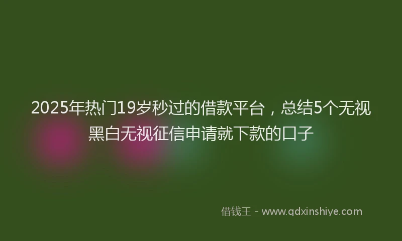 2025年热门19岁秒过的借款平台，总结5个无视黑白无视征信申请就下款的口子