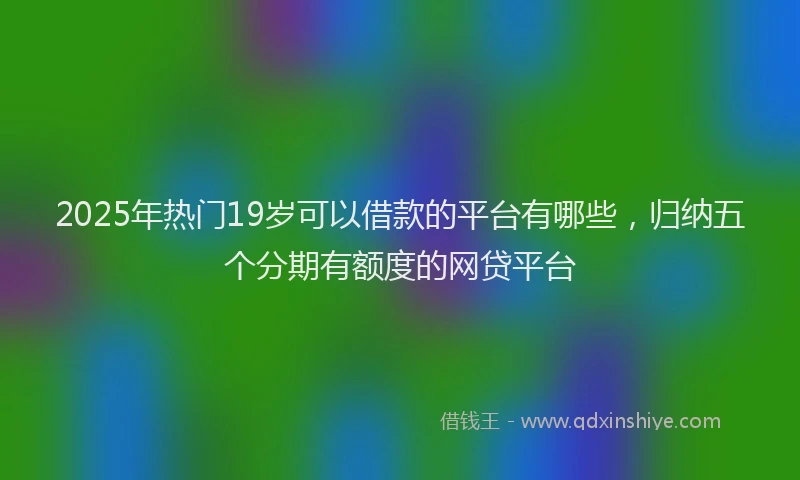 2025年热门19岁可以借款的平台有哪些，归纳五个分期有额度的网贷平台