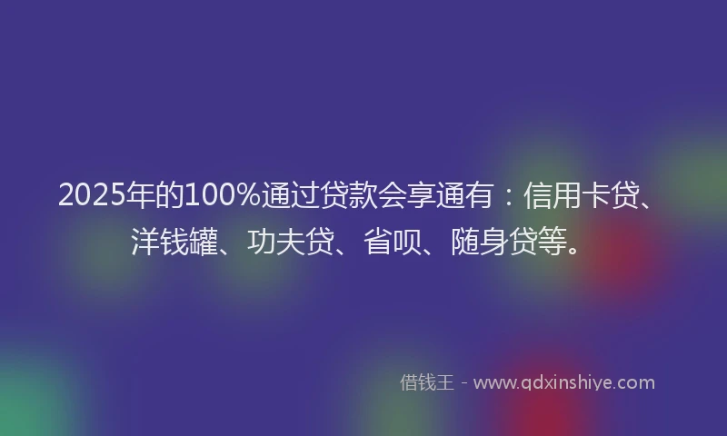 2025年的100%通过贷款会享通有：信用卡贷、洋钱罐、功夫贷、省呗、随身贷等。