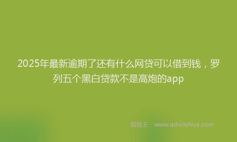 2025年最新逾期了还有什么网贷可以借到钱，罗列五个黑白贷款不是高炮的app