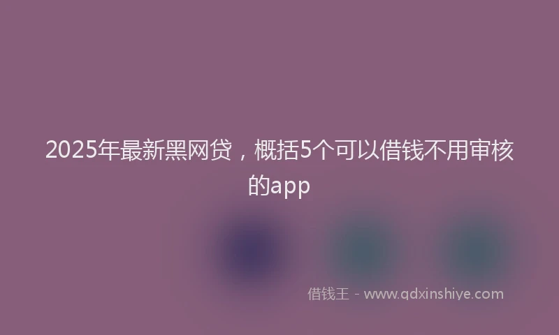 2025年最新黑网贷，概括5个可以借钱不用审核的app