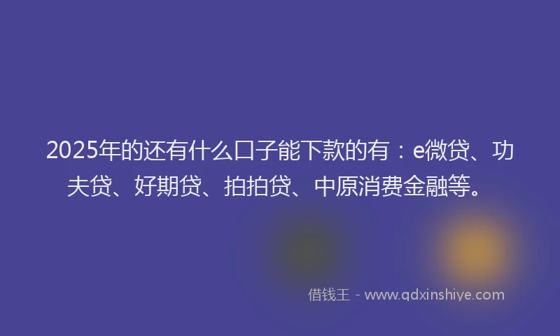 2025年的还有什么口子能下款的有：e微贷、功夫贷、好期贷、拍拍贷、中原消费金融等。