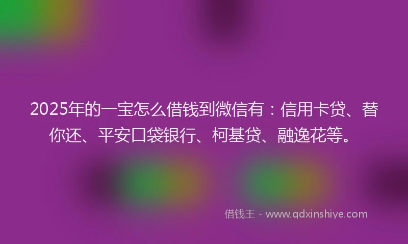 2025年的一宝怎么借钱到微信有：信用卡贷、替你还、平安口袋银行、柯基贷、融逸花等。