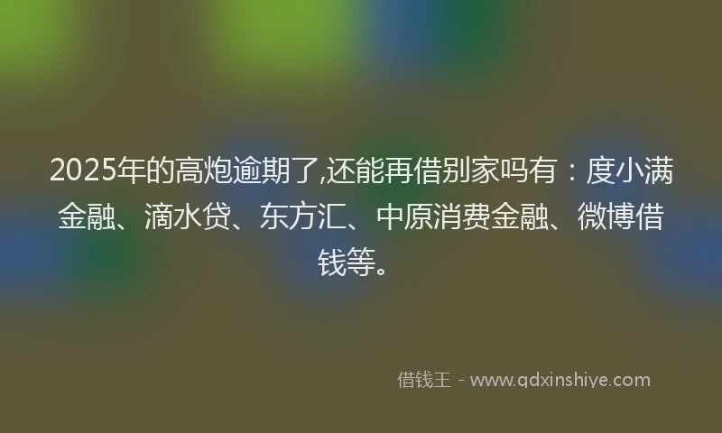 2025年的高炮逾期了,还能再借别家吗有：度小满金融、滴水贷、东方汇、中原消费金融、微博借钱等。