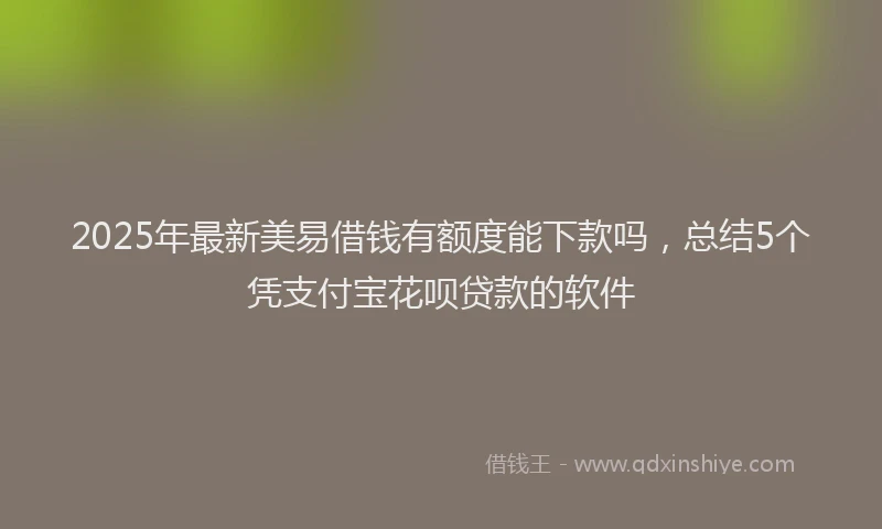 2025年最新美易借钱有额度能下款吗，总结5个凭支付宝花呗贷款的软件