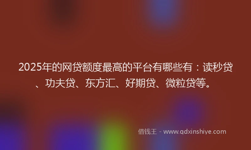 2025年的网贷额度最高的平台有哪些有：读秒贷、功夫贷、东方汇、好期贷、微粒贷等。