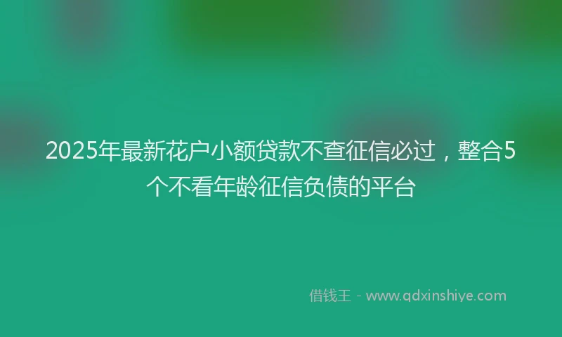2025年最新花户小额贷款不查征信必过，整合5个不看年龄征信负债的平台