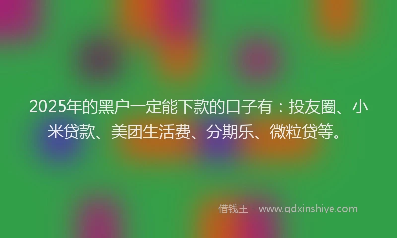 2025年的黑户一定能下款的口子有：投友圈、小米贷款、美团生活费、分期乐、微粒贷等。