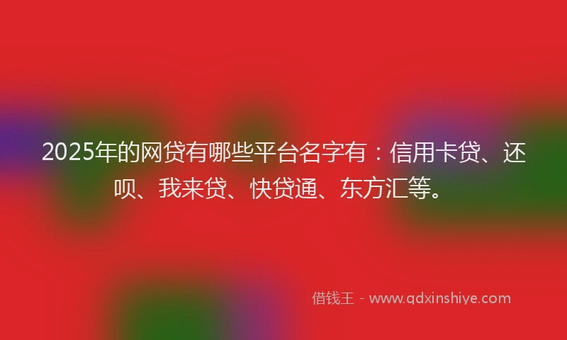 2025年的网贷有哪些平台名字有：信用卡贷、还呗、我来贷、快贷通、东方汇等。