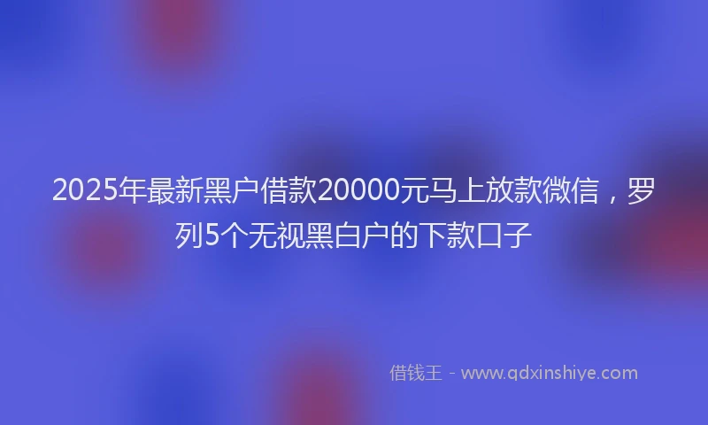 2025年最新黑户借款20000元马上放款微信，罗列5个无视黑白户的下款口子
