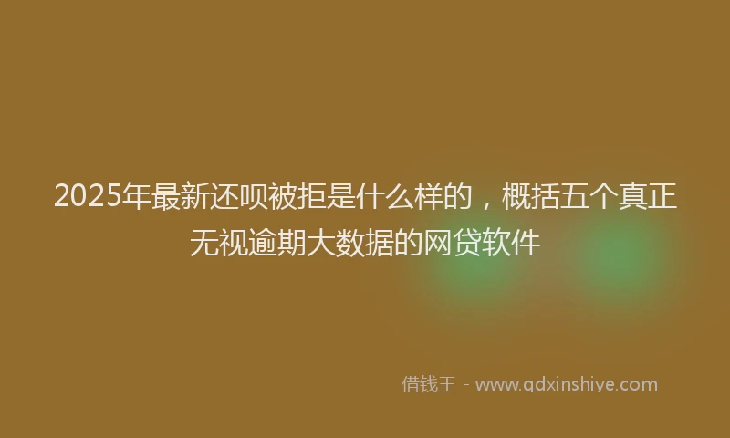 2025年最新还呗被拒是什么样的，概括五个真正无视逾期大数据的网贷软件