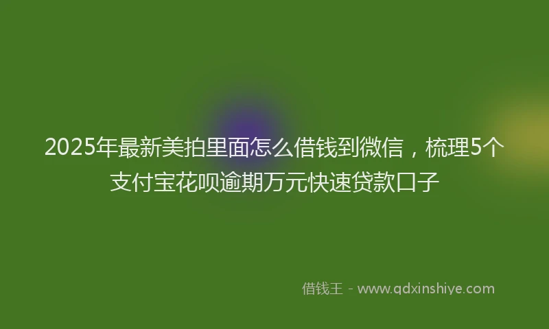 2025年最新美拍里面怎么借钱到微信，梳理5个支付宝花呗逾期万元快速贷款口子