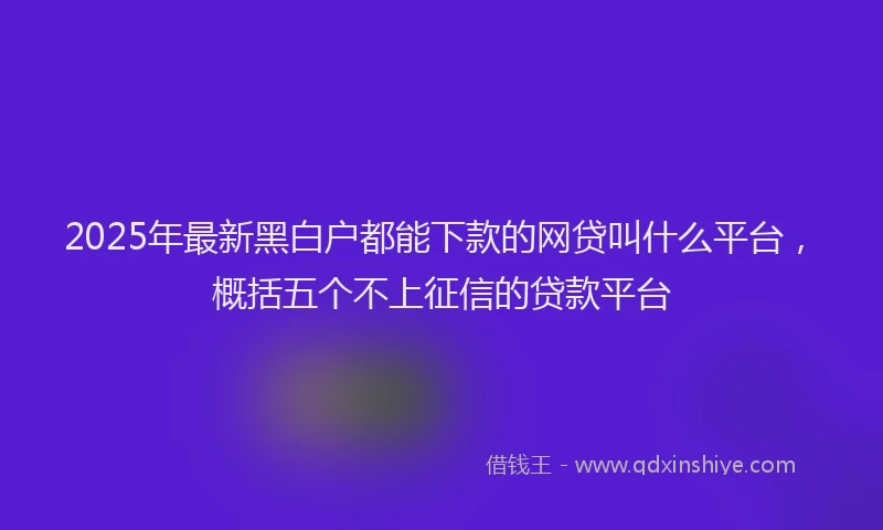 2025年最新黑白户都能下款的网贷叫什么平台，概括五个不上征信的贷款平台