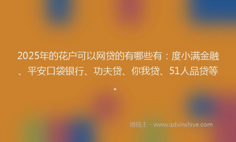 2025年的花户可以网贷的有哪些有：度小满金融、平安口袋银行、功夫贷、你我贷、51人品贷等。