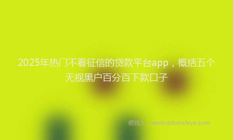 2025年热门不看征信的贷款平台app，概括五个无视黑户百分百下款口子