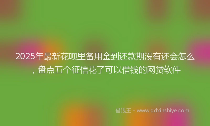 2025年最新花呗里备用金到还款期没有还会怎么，盘点五个征信花了可以借钱的网贷软件