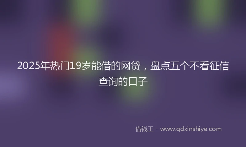 2025年热门19岁能借的网贷，盘点五个不看征信查询的口子