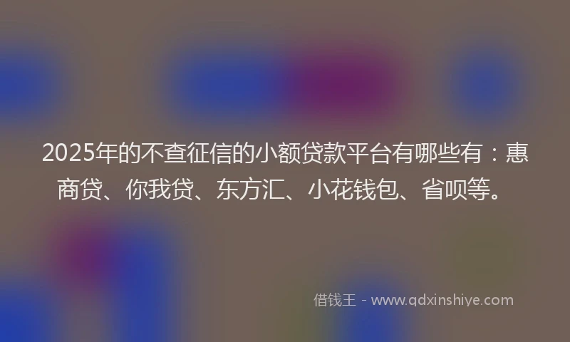 2025年的不查征信的小额贷款平台有哪些有：惠商贷、你我贷、东方汇、小花钱包、省呗等。