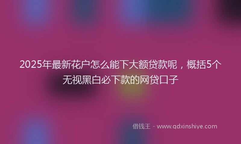 2025年最新花户怎么能下大额贷款呢，概括5个无视黑白必下款的网贷口子