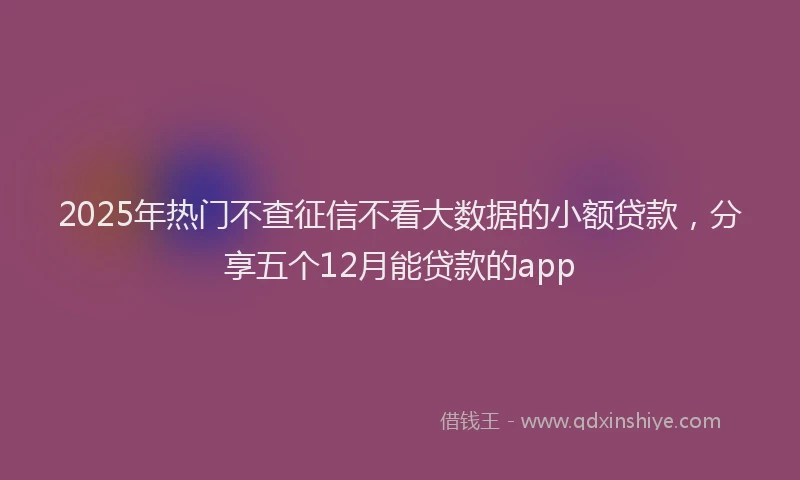 2025年热门不查征信不看大数据的小额贷款，分享五个12月能贷款的app